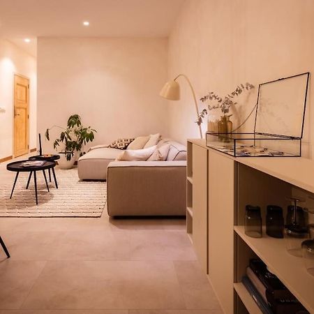 Appartement Met Tuin In Haarlem Centrum Extérieur photo
